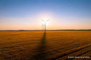 eoliennes sunset © 3