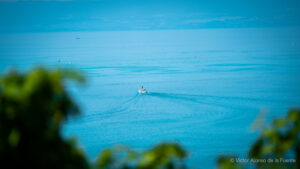 lac léman bateau vignes 2